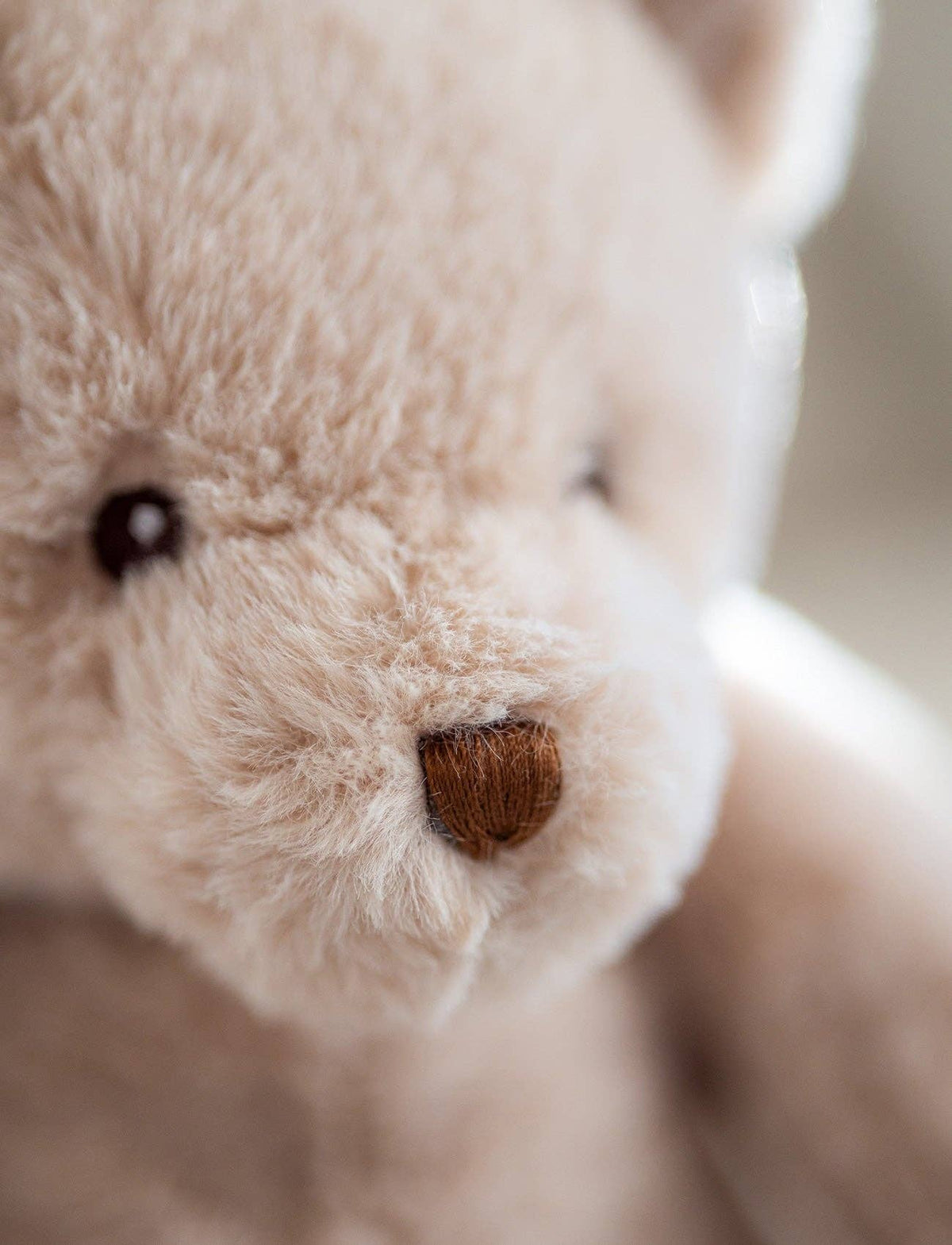 Teddy Kompaniet |  Teddy, Muziekdoos, Teddybeer, Beige