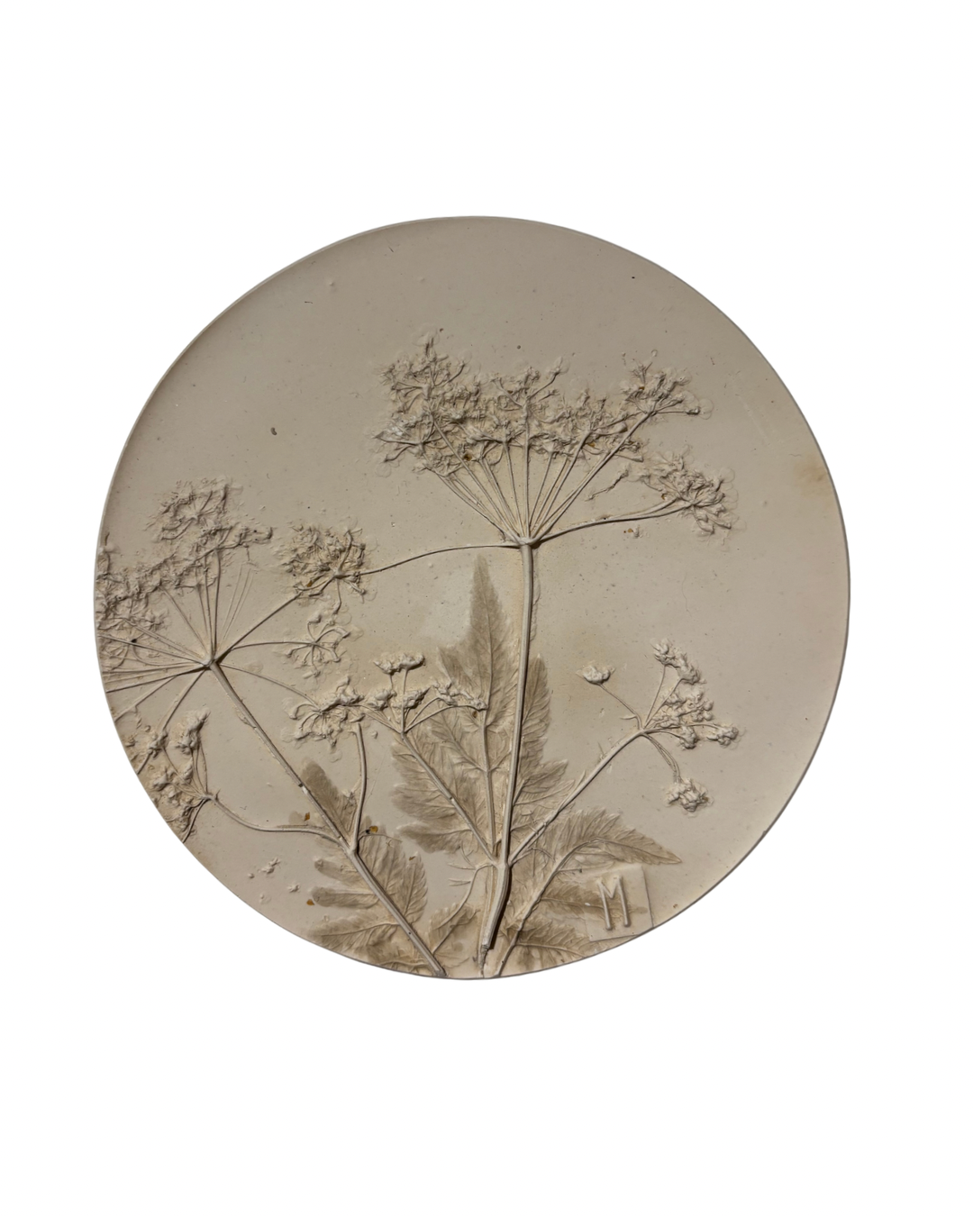 Imprint by Mira | Bloemenafdruk in gips | met haakje | Afmeting: rond, Ø 14 cm (doorsnede)